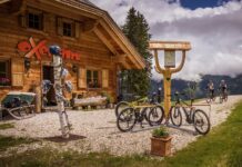 Oxenalm: Bike & Hike in Donnersbachwald